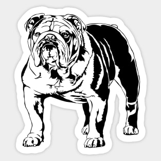 Funny Proud British Bulldog dog portrait Sticker